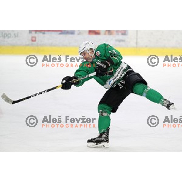 Nik Grahut of SZ Olimpija in action during Alps League ice-hockey match between SZ Olimpija and Fassa in Tivoli Hall, Ljubljana, Slovenia on January 9, 2018