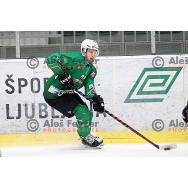 Miha Zajc of SZ Olimpija in action during Alps League ice-hockey match between SZ Olimpija and Fassa in Tivoli Hall, Ljubljana, Slovenia on January 9, 2018