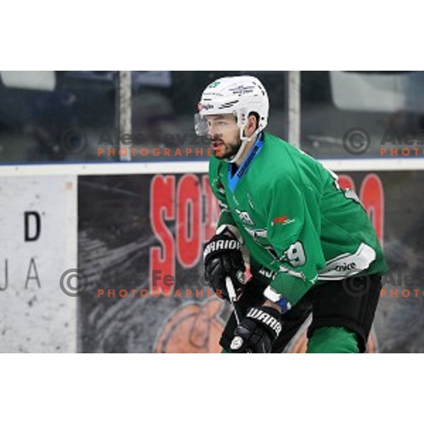 Ziga Pesut of SZ Olimpija in action during Alps League ice-hockey match between SZ Olimpija and Fassa in Tivoli Hall, Ljubljana, Slovenia on January 9, 2018