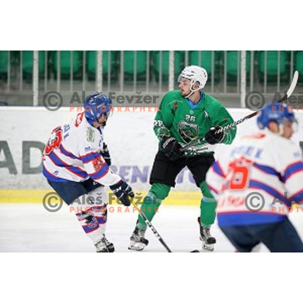 Patrik Tislar of SZ Olimpija in action during Alps League ice-hockey match between SZ Olimpija and Fassa in Tivoli Hall, Ljubljana, Slovenia on January 9, 2018