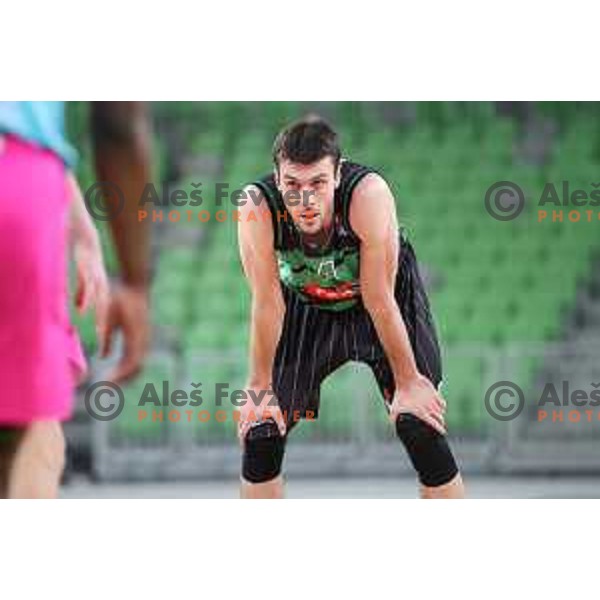 of Petrol Olimpija in action during ABA league basketball match between Petrol Olimpija and Mega Bamax in SRC Stozice, Ljubljana on January 13, 2019