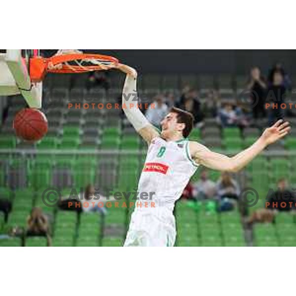 Aleksandar Lazic in action during second leg of quarter-final of Spar Cup basketball match between Petrol Olimpija and Rogaska in SRC Stozice, Ljubljana on January 14, 2019