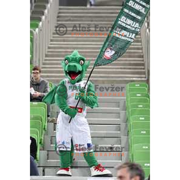 of Petrol Olimpija in action during FIBA Champions League basketball match between Petrol Olimpija and Filou Oostende in Stozice Hall, Ljubljana on January 16, 2019