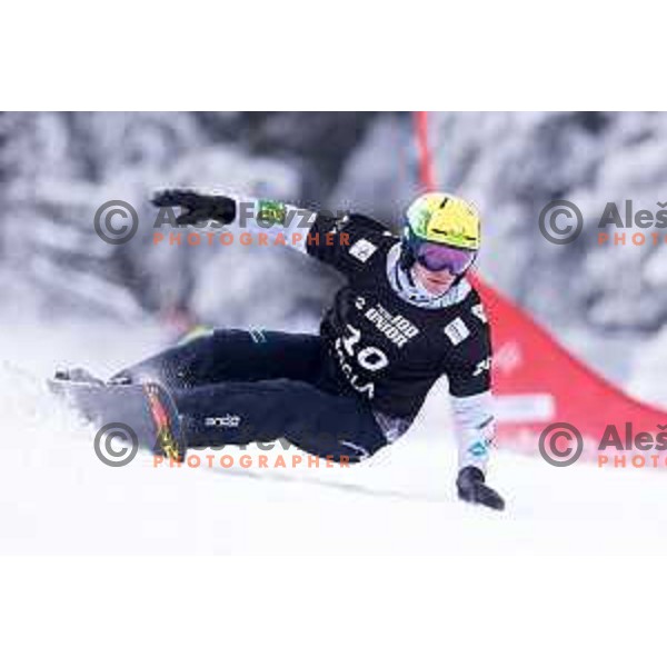 Tim Mastnak of Slovenia in action during FIS World Cup Snowboard Parallel Giant Slalom at Rogla, Slovenia on January 19, 2019