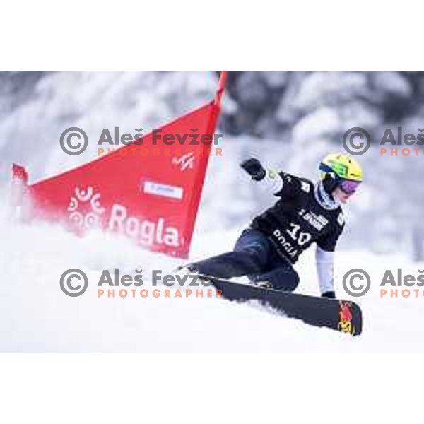 Tim Mastnak of Slovenia in action during FIS World Cup Snowboard Parallel Giant Slalom at Rogla, Slovenia on January 19, 2019