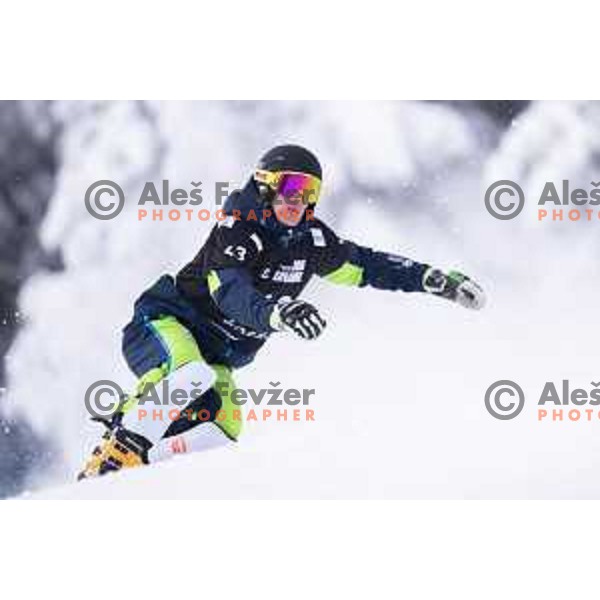 action during FIS World Cup Snowboard Parallel Giant Slalom at Rogla, Slovenia on January 19, 2019