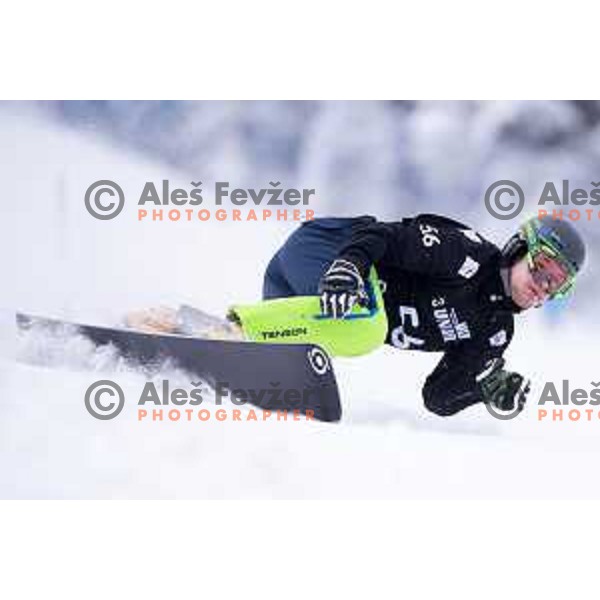 action during FIS World Cup Snowboard Parallel Giant Slalom at Rogla, Slovenia on January 19, 2019