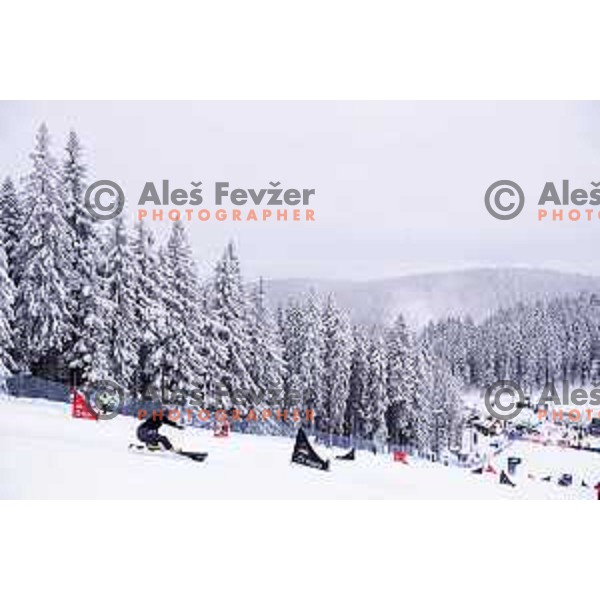 action during FIS World Cup Snowboard Parallel Giant Slalom at Rogla, Slovenia on January 19, 2019