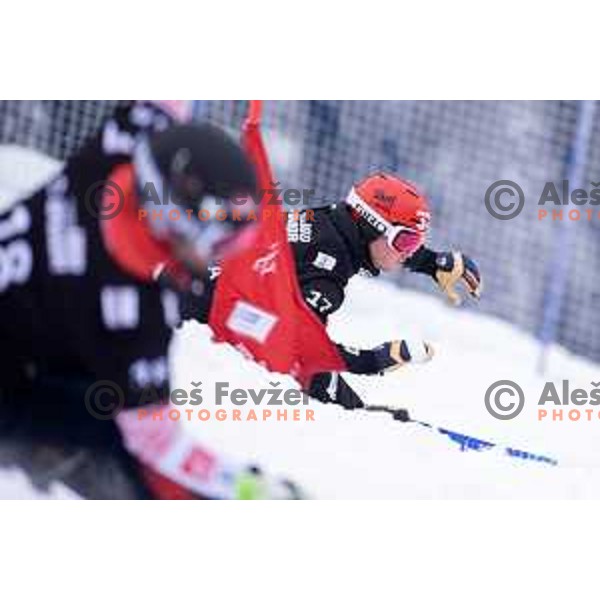 action during FIS World Cup Snowboard Parallel Giant Slalom at Rogla, Slovenia on January 19, 2019