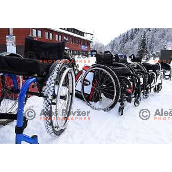 IPC Alpine Giant Slalom, Para World Championships, Kranjska gora, Slovenia on January 21, 2019