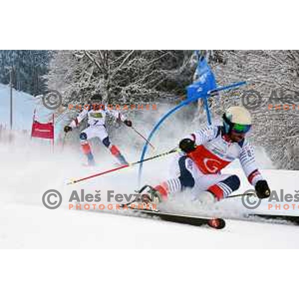 IPC Alpine Giant Slalom, Para World Championships, Kranjska gora, Slovenia on January 21, 2019