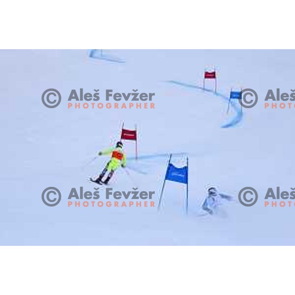 IPC Alpine Giant Slalom, Para World Championships, Kranjska gora, Slovenia on January 21, 2019