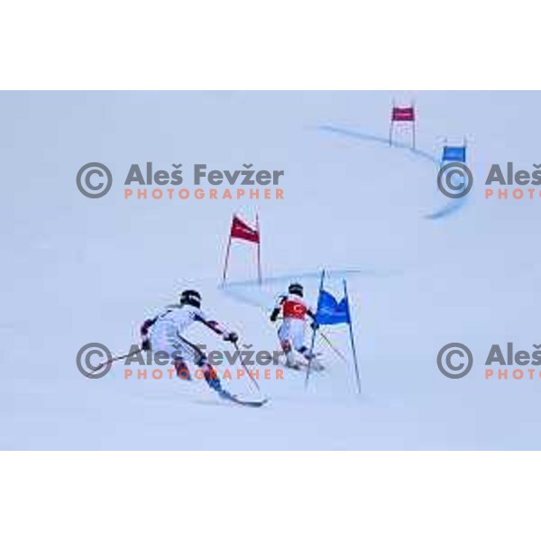IPC Alpine Giant Slalom, Para World Championships, Kranjska gora, Slovenia on January 21, 2019