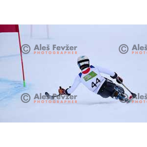 IPC Alpine Giant Slalom, Para World Championships, Kranjska gora, Slovenia on January 21, 2019
