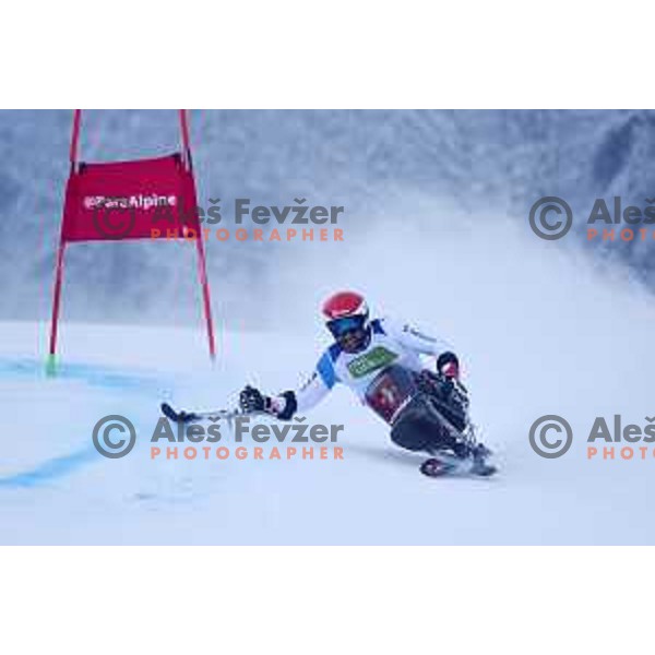 IPC Alpine Giant Slalom, Para World Championships, Kranjska gora, Slovenia on January 21, 2019