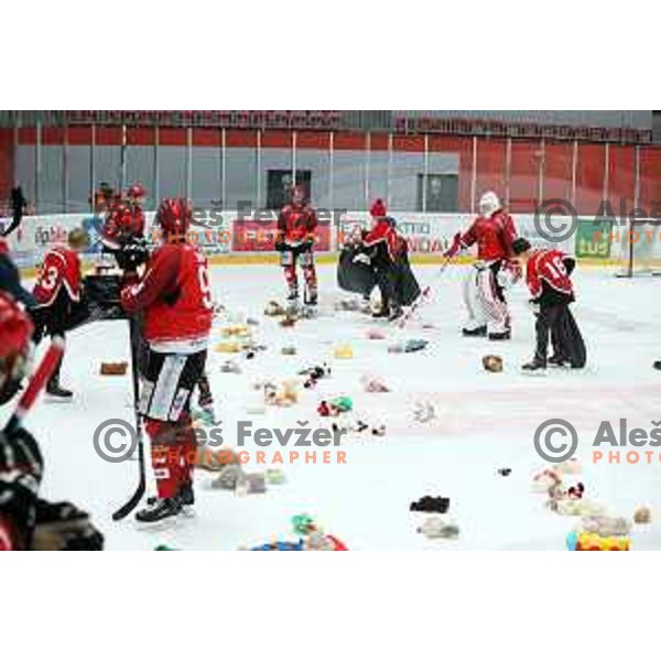 of Acroni Jesenice in action during Alps League ice-hockey match between Acroni Jesenice and Zeller in Podmezakla Hall, Jesenice, Slovenia on January 26, 2019