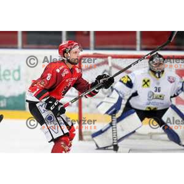 of Acroni Jesenice in action during Alps League ice-hockey match between Acroni Jesenice and Zeller in Podmezakla Hall, Jesenice, Slovenia on January 26, 2019