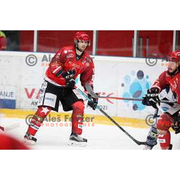 of Acroni Jesenice in action during Alps League ice-hockey match between Acroni Jesenice and Zeller in Podmezakla Hall, Jesenice, Slovenia on January 26, 2019