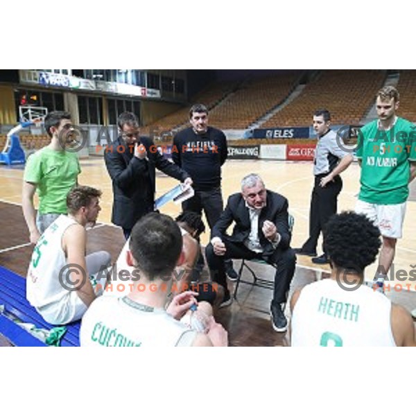 Sasa Doncic, head coach of Ilirija during Nova KBM League basketball match between Ilirija and Sixt Primorska in Tivoli Hall, Ljubljana on January 27, 2019