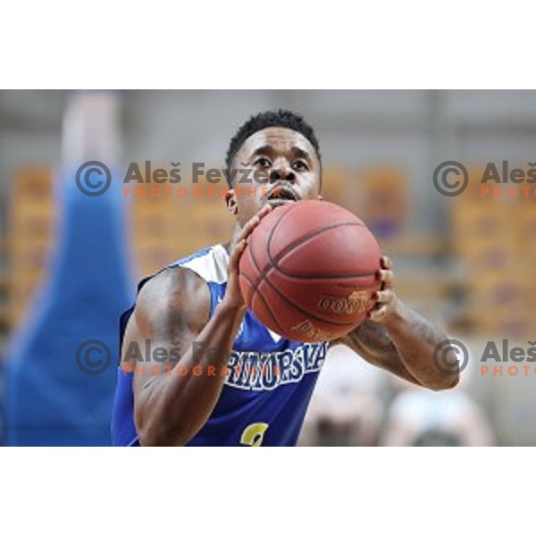 in action during Nova KBM League basketball match between Ilirija and Sixt Primorska in Tivoli Hall, Ljubljana on January 27, 2019
