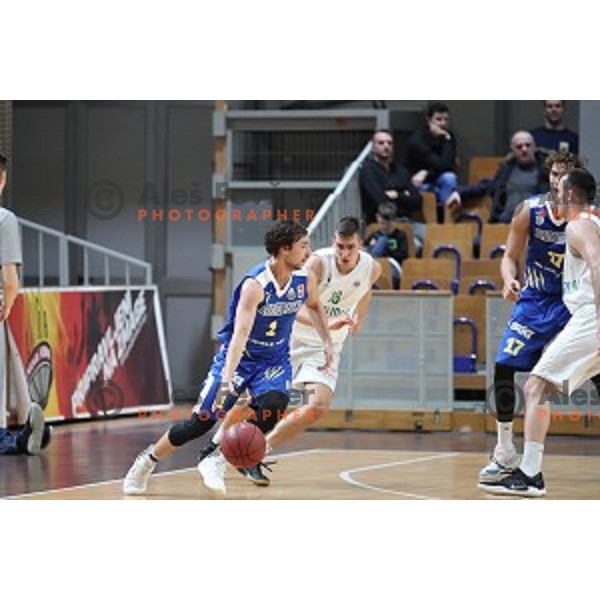 in action during Nova KBM League basketball match between Ilirija and Sixt Primorska in Tivoli Hall, Ljubljana on January 27, 2019