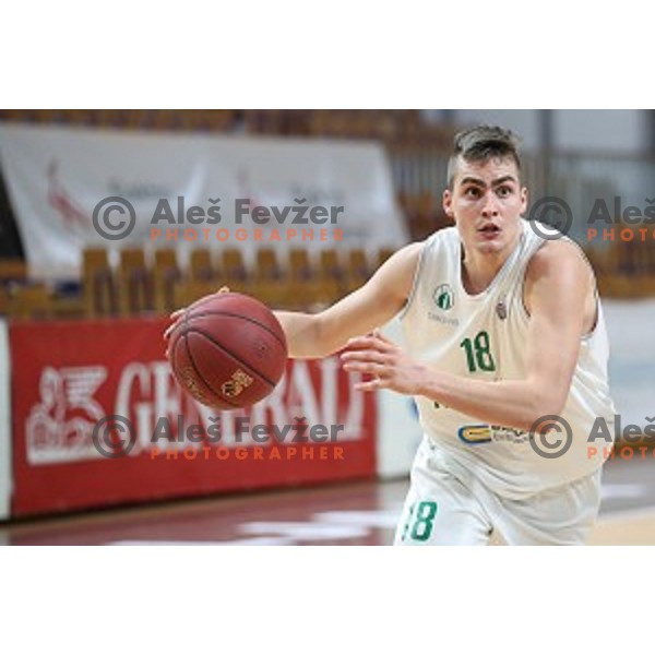 in action during Nova KBM League basketball match between Ilirija and Sixt Primorska in Tivoli Hall, Ljubljana on January 27, 2019