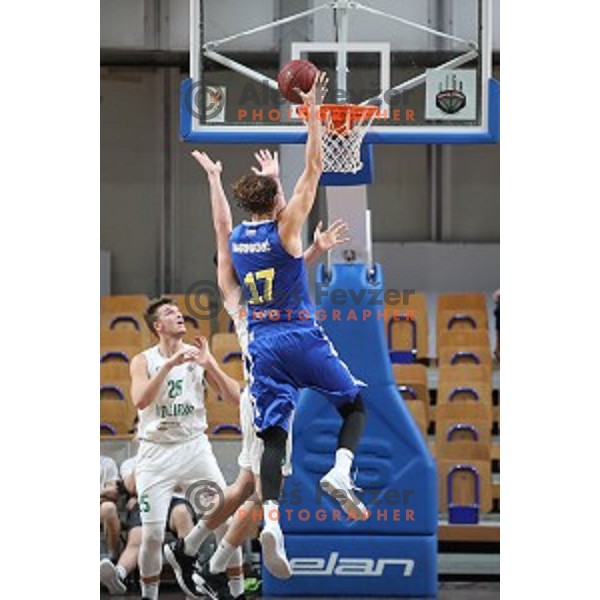 in action during Nova KBM League basketball match between Ilirija and Sixt Primorska in Tivoli Hall, Ljubljana on January 27, 2019
