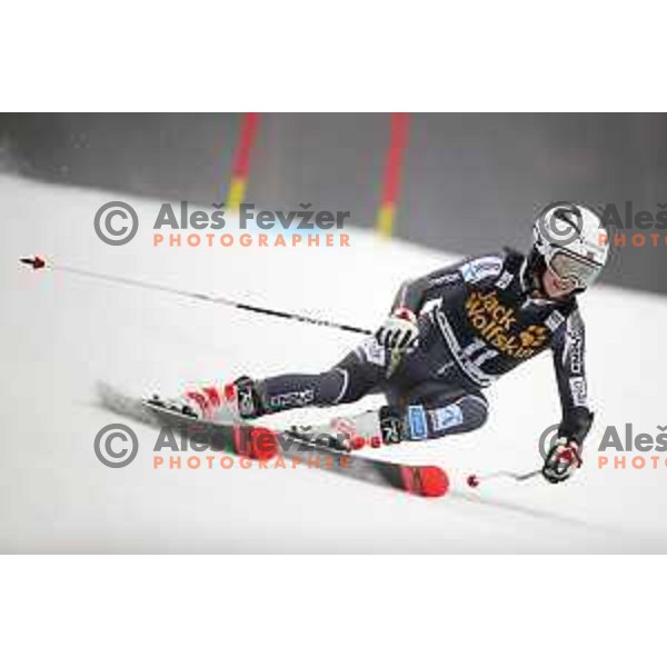 skiing in the first run of AUDI FIS World Cup Giant Slalom for 55. Golden Fox Zlata Lisica in Maribor, Slovenia on February 1, 2019