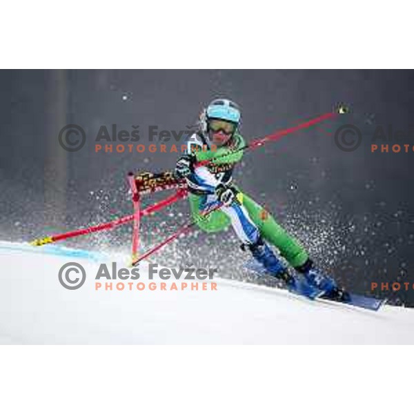 Meta Hrovat (SLO) skiing in the first run of AUDI FIS World Cup Giant Slalom for 55. Golden Fox Zlata Lisica in Maribor, Slovenia on February 1, 2019