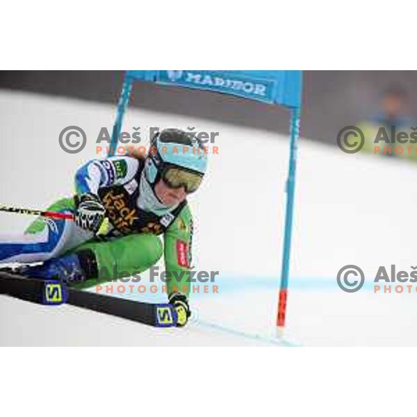 Meta Hrovat (SLO) skiing in the first run of AUDI FIS World Cup Giant Slalom for 55. Golden Fox Zlata Lisica in Maribor, Slovenia on February 1, 2019