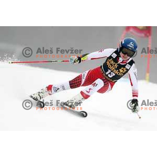 skiing in the first run of AUDI FIS World Cup Giant Slalom for 55. Golden Fox Zlata Lisica in Maribor, Slovenia on February 1, 2019
