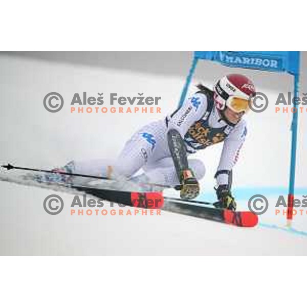 skiing in the first run of AUDI FIS World Cup Giant Slalom for 55. Golden Fox Zlata Lisica in Maribor, Slovenia on February 1, 2019