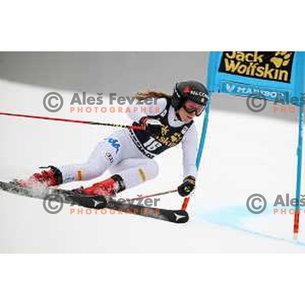 skiing in the first run of AUDI FIS World Cup Giant Slalom for 55. Golden Fox Zlata Lisica in Maribor, Slovenia on February 1, 2019