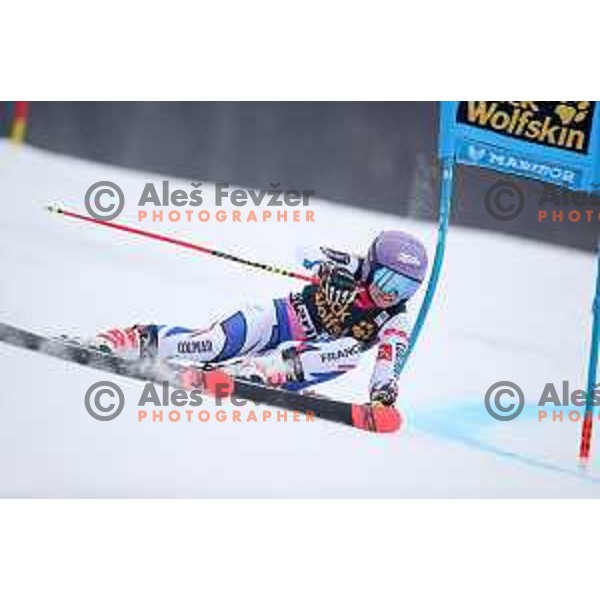 Tessa Worley (FRA) skiing in the first run of AUDI FIS World Cup Giant Slalom for 55. Golden Fox Zlata Lisica in Maribor, Slovenia on February 1, 2019