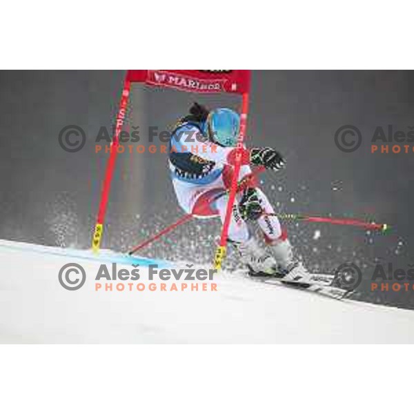 skiing in the first run of AUDI FIS World Cup Giant Slalom for 55. Golden Fox Zlata Lisica in Maribor, Slovenia on February 1, 2019