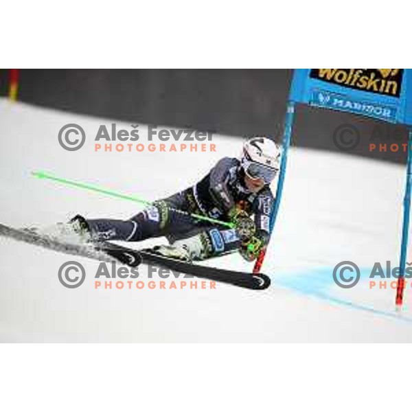 Ragnhild Mowinckel (NOR) skiing in the first run of AUDI FIS World Cup Giant Slalom for 55. Golden Fox Zlata Lisica in Maribor, Slovenia on February 1, 2019