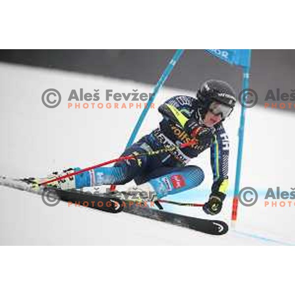 skiing in the first run of AUDI FIS World Cup Giant Slalom for 55. Golden Fox Zlata Lisica in Maribor, Slovenia on February 1, 2019