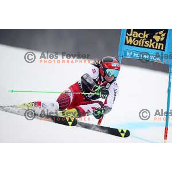 skiing in the first run of AUDI FIS World Cup Giant Slalom for 55. Golden Fox Zlata Lisica in Maribor, Slovenia on February 1, 2019
