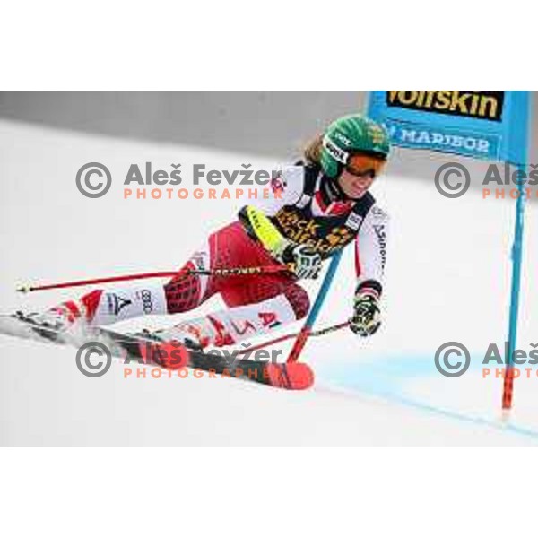 skiing in the first run of AUDI FIS World Cup Giant Slalom for 55. Golden Fox Zlata Lisica in Maribor, Slovenia on February 1, 2019