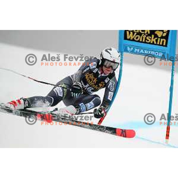 skiing in the first run of AUDI FIS World Cup Giant Slalom for 55. Golden Fox Zlata Lisica in Maribor, Slovenia on February 1, 2019