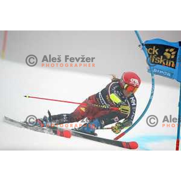 skiing in the first run of AUDI FIS World Cup Giant Slalom for 55. Golden Fox Zlata Lisica in Maribor, Slovenia on February 1, 2019