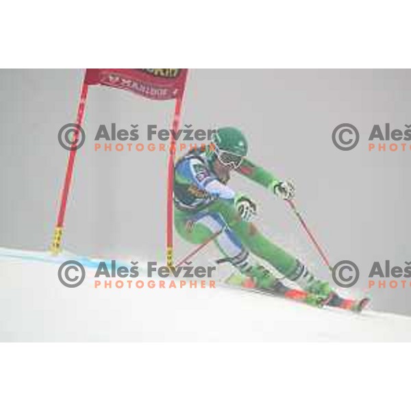 Tina Robnik (SLO) skiing in the first run of AUDI FIS World Cup Giant Slalom for 55. Golden Fox Zlata Lisica in Maribor, Slovenia on February 1, 2019