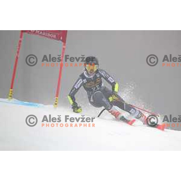 skiing in the first run of AUDI FIS World Cup Giant Slalom for 55. Golden Fox Zlata Lisica in Maribor, Slovenia on February 1, 2019