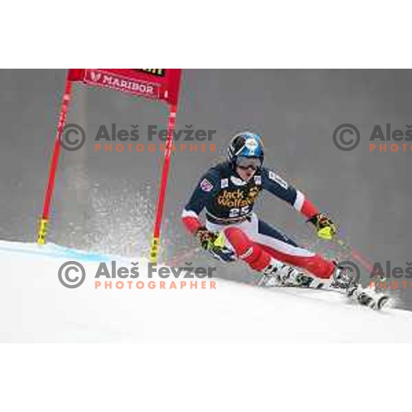 skiing in the first run of AUDI FIS World Cup Giant Slalom for 55. Golden Fox Zlata Lisica in Maribor, Slovenia on February 1, 2019