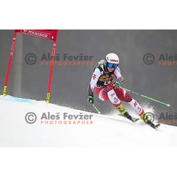 skiing in the first run of AUDI FIS World Cup Giant Slalom for 55. Golden Fox Zlata Lisica in Maribor, Slovenia on February 1, 2019
