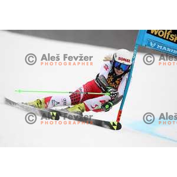 skiing in the first run of AUDI FIS World Cup Giant Slalom for 55. Golden Fox Zlata Lisica in Maribor, Slovenia on February 1, 2019