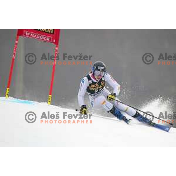 skiing in the first run of AUDI FIS World Cup Giant Slalom for 55. Golden Fox Zlata Lisica in Maribor, Slovenia on February 1, 2019