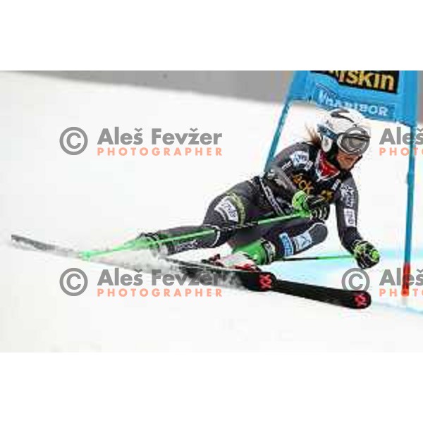 skiing in the first run of AUDI FIS World Cup Giant Slalom for 55. Golden Fox Zlata Lisica in Maribor, Slovenia on February 1, 2019