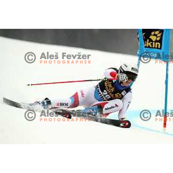 skiing in the first run of AUDI FIS World Cup Giant Slalom for 55. Golden Fox Zlata Lisica in Maribor, Slovenia on February 1, 2019
