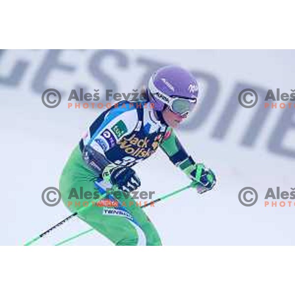 Ilka Stuhec (SLO) skiing in the first run of AUDI FIS World Cup Giant Slalom for 55. Golden Fox Zlata Lisica in Maribor, Slovenia on February 1, 2019